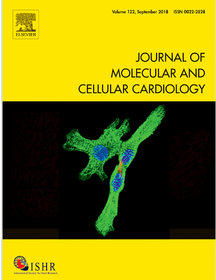 cellular cardiology